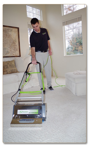 Dry Carpet Cleaning - Dry Organic Carpet Cleaning