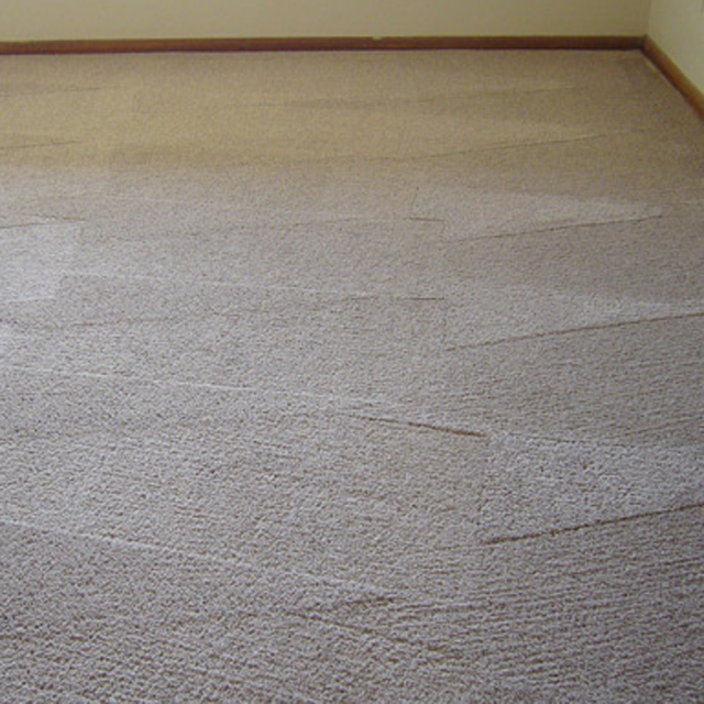 dry carpet cleaning - carpet cleaning after