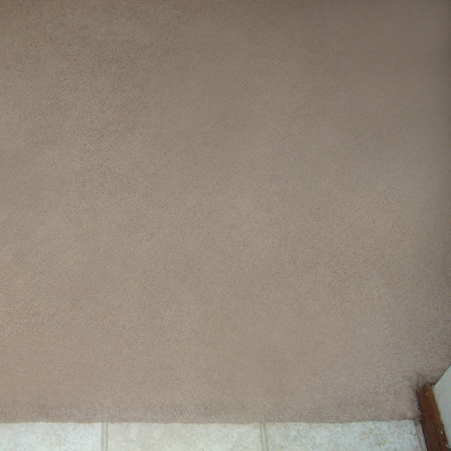 dry carpet cleaning - carpet cleaning - carpet to tile after