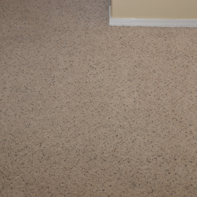 dry carpet cleaning - carpet cleaning - dry organic carpet cleaning - stains after