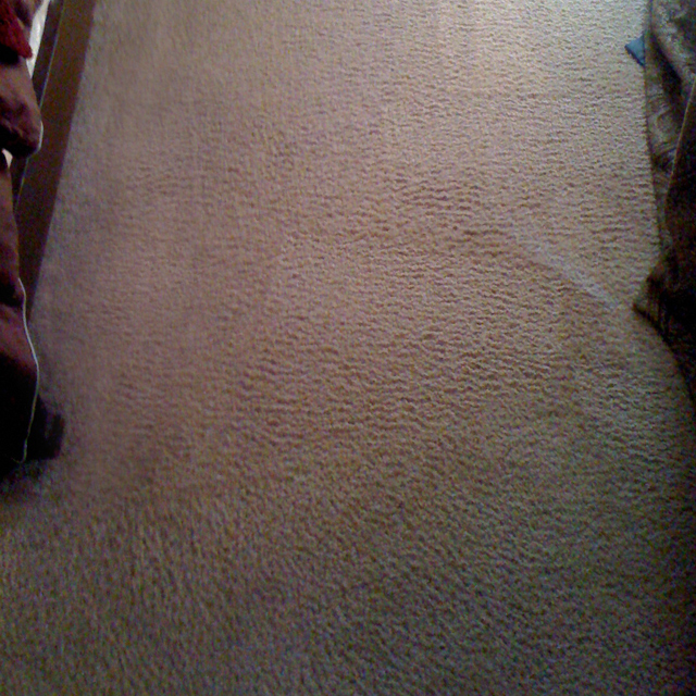 dry carpet cleaning destin florida