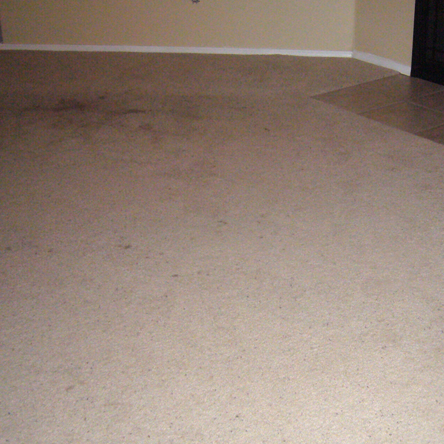 dry carpet cleaning - dry carpet cleaning before