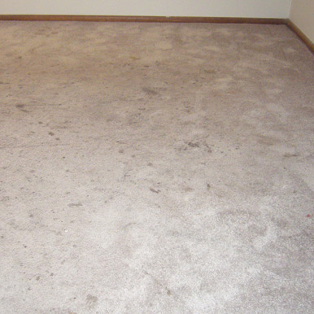 dry carpet cleaning - carpet cleaning before