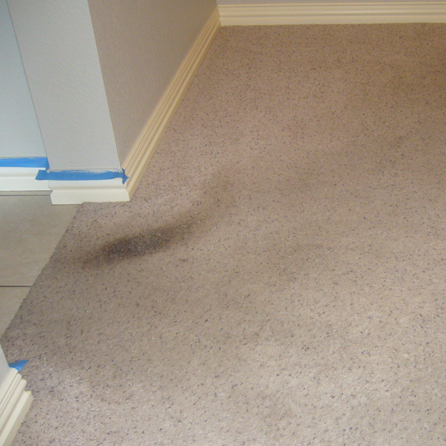 dry carpet cleaning - carpet cleaning - dry carpet cleaning power before