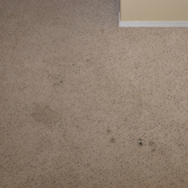 dry carpet cleaning - carpet cleaning - dry organic carpet cleaning - stains before