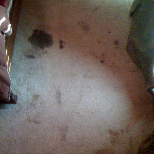 Dry Carpet Cleaning - carpet cleaning before and after