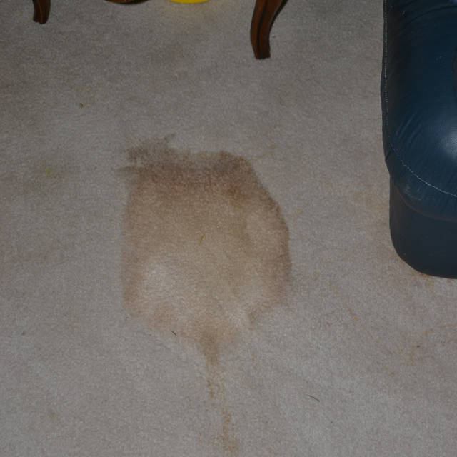 dry carpet cleaning - coffee stain before