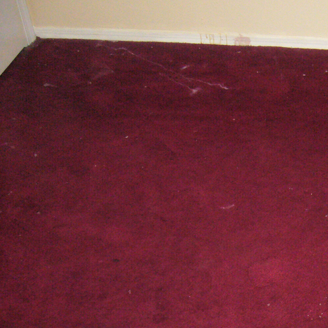 dry carpet cleaning - before